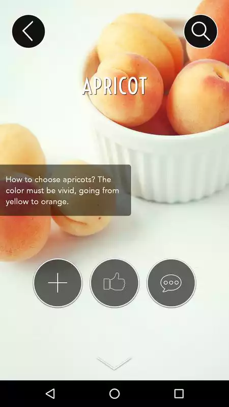 Play Flick on Food | wiki food app